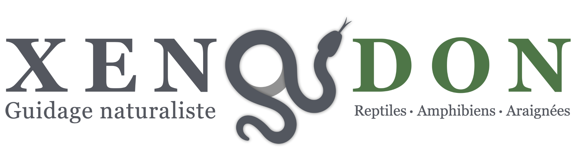 Logo Xenodon, expert naturaliste en Guyane